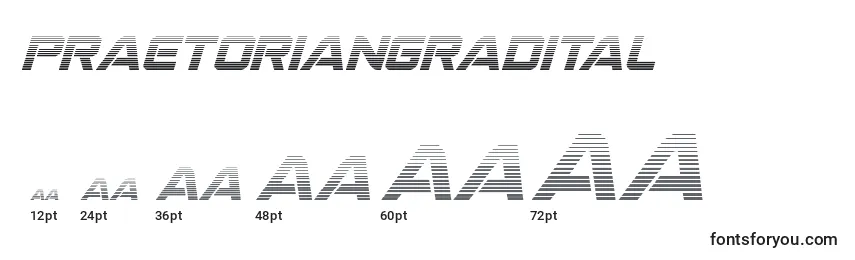 Размеры шрифта Praetoriangradital (137230)