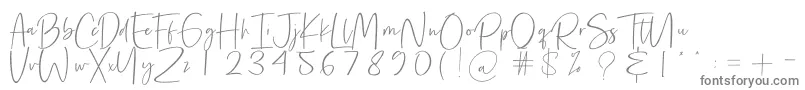 Precious Soul Font – Gray Fonts on White Background