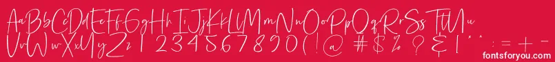 Precious Soul Font – White Fonts on Red Background