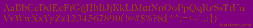 CaslonMediumRegular Font – Brown Fonts on Purple Background