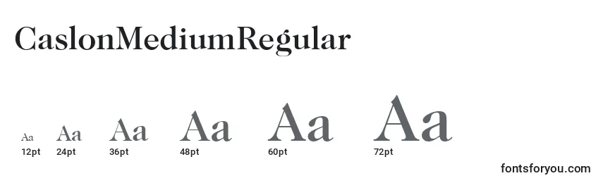 Размеры шрифта CaslonMediumRegular