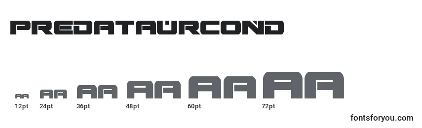 Predataurcond (137254) Font Sizes