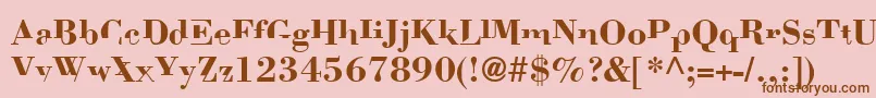 Bodonimutant Font – Brown Fonts on Pink Background