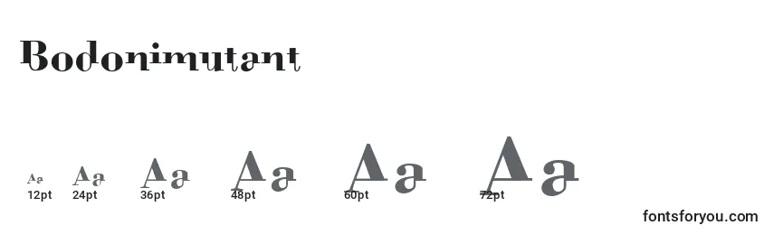 Размеры шрифта Bodonimutant