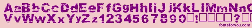 PREFIX Font – Purple Fonts on Pink Background