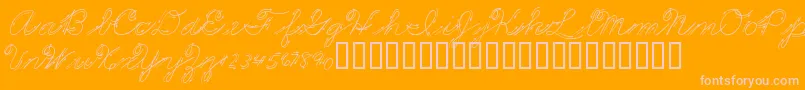 PREMMS  -Schriftart – Rosa Schriften auf orangefarbenem Hintergrund