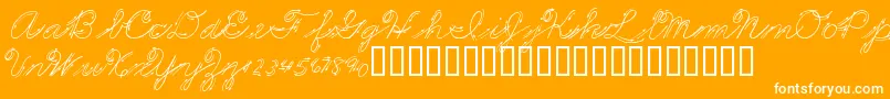 PREMMS  -Schriftart – Weiße Schriften auf orangefarbenem Hintergrund