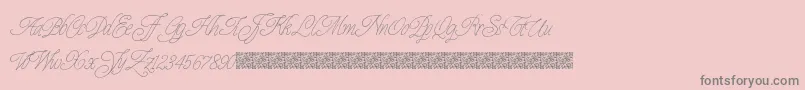 Prescriptivism Font – Gray Fonts on Pink Background