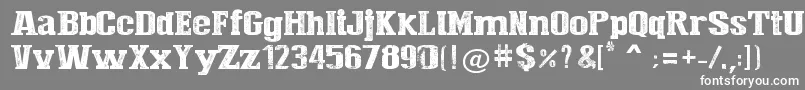 Press Style  Large Font – White Fonts on Gray Background
