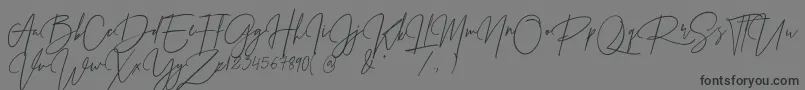 Prestige Signature Script   Demo-fontti – mustat fontit harmaalla taustalla