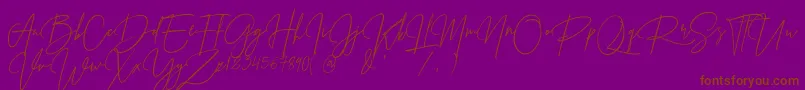 Prestige Signature Script   Demo-Schriftart – Braune Schriften auf violettem Hintergrund