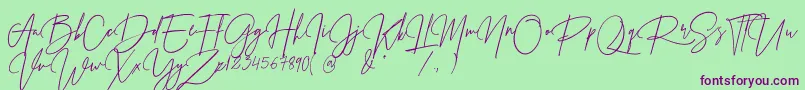 Prestige Signature Script   Demo Font – Purple Fonts on Green Background