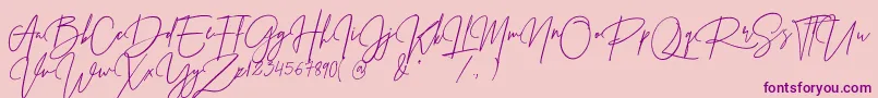 Prestige Signature Script   Demo Font – Purple Fonts on Pink Background