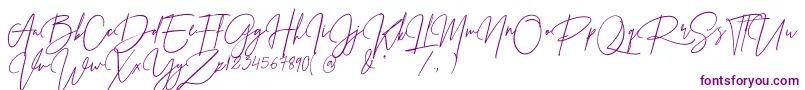 Шрифт Prestige Signature Script   Demo – фиолетовые шрифты