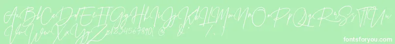 Prestige Signature Script   Demo Font – White Fonts on Green Background