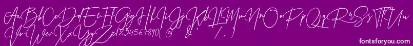 Prestige Signature Script   Demo Font – White Fonts on Purple Background