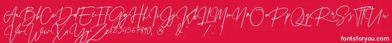 Prestige Signature Script   Demo Font – White Fonts on Red Background