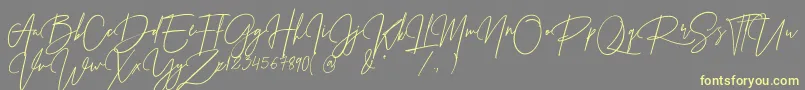 Prestige Signature Script   Demo-Schriftart – Gelbe Schriften auf grauem Hintergrund