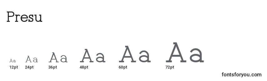 Размеры шрифта Presu    (137317)