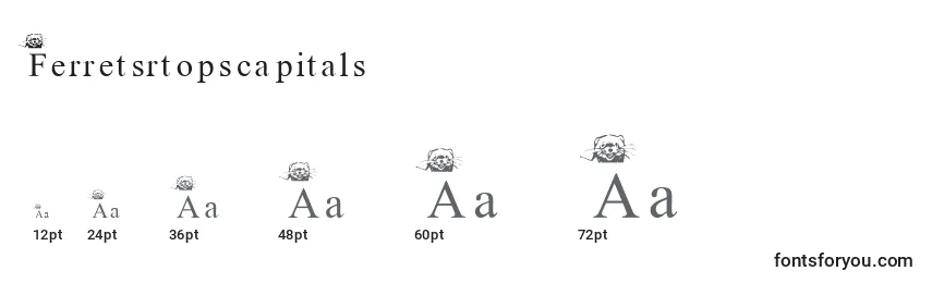 Размеры шрифта Ferretsrtopscapitals