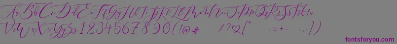 フォントPretty Women script – 紫色のフォント、灰色の背景