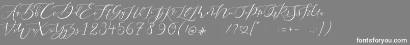 フォントPretty Women script – 灰色の背景に白い文字