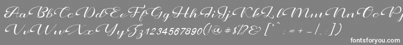 Prettyholic-Schriftart – Weiße Schriften auf grauem Hintergrund