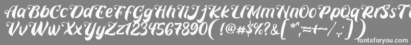 Czcionka Prettyla Font By 7NTypes D – białe czcionki na szarym tle