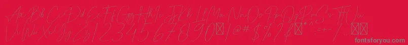 Pricillia Font – Gray Fonts on Red Background