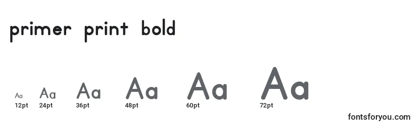 Размеры шрифта Primer print bold (137340)