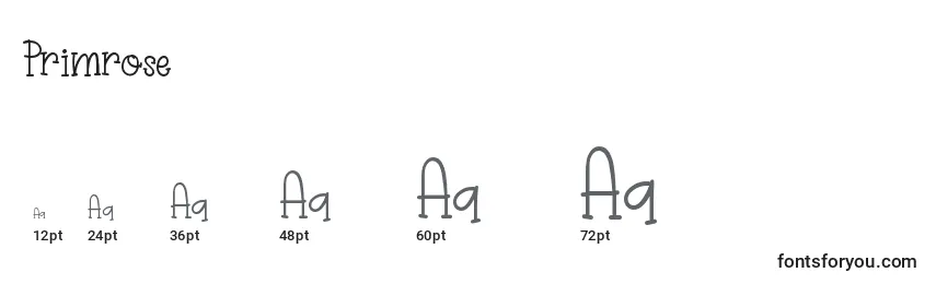 Размеры шрифта Primrose (137343)