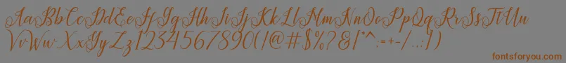 Princella Font – Brown Fonts on Gray Background