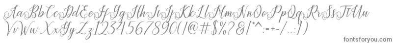 Princella Font – Gray Fonts on White Background