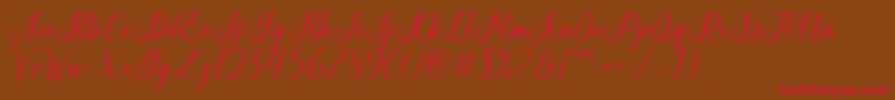 Princella Font – Red Fonts on Brown Background