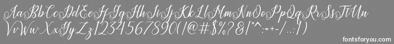 Princella Font – White Fonts on Gray Background