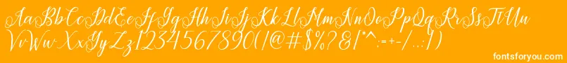 Princella Font – White Fonts on Orange Background
