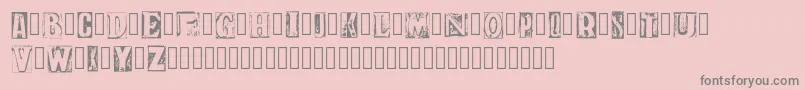 PrintRoom1 Demo Regular-Schriftart – Graue Schriften auf rosa Hintergrund