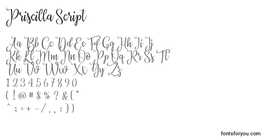 Priscilla Script-fontti – aakkoset, numerot, erikoismerkit