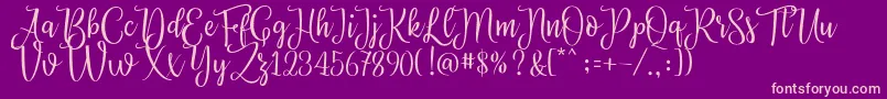 Priscilla Script Font – Pink Fonts on Purple Background