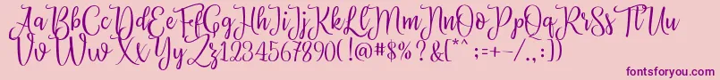 Priscilla Script Font – Purple Fonts on Pink Background
