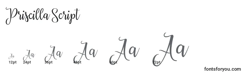 Размеры шрифта Priscilla Script