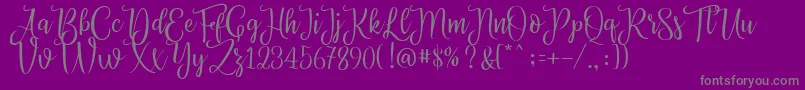 Priscilla Script Font – Gray Fonts on Purple Background
