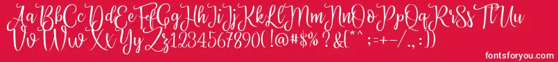 Priscilla Script Font – White Fonts on Red Background