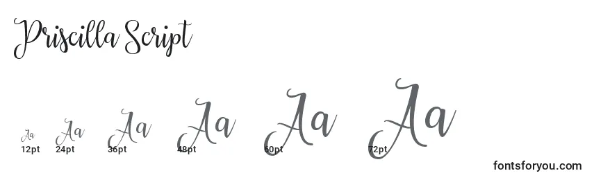 Priscilla Script (137356) Font Sizes