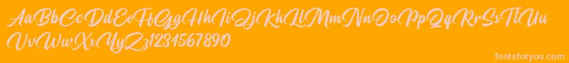 Pristyne DEMO Font – Pink Fonts on Orange Background