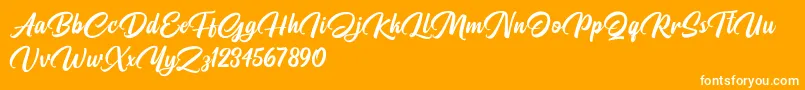 Pristyne DEMO Font – White Fonts on Orange Background