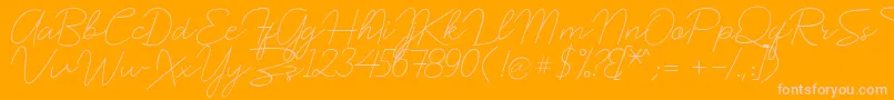 prochok   demo 0 Font – Pink Fonts on Orange Background