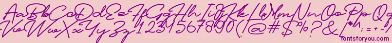 Profiles Font Font – Purple Fonts on Pink Background