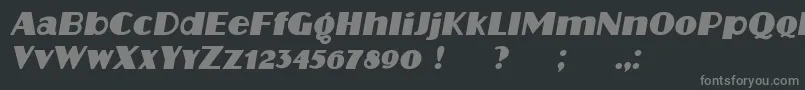 Protocol Italic-Schriftart – Graue Schriften auf schwarzem Hintergrund