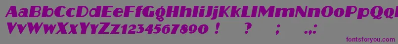 Protocol Italic Font – Purple Fonts on Gray Background